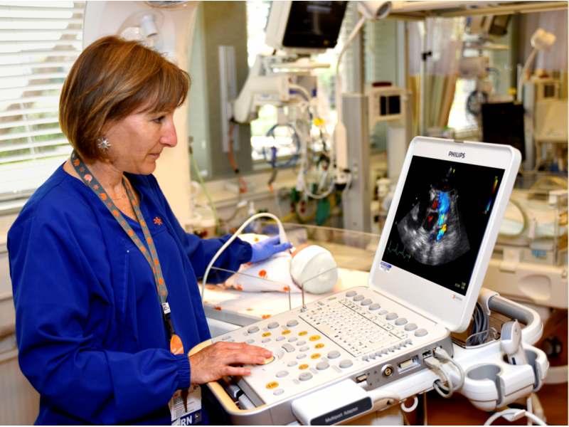 Point of Care Ultrasound in the NICU